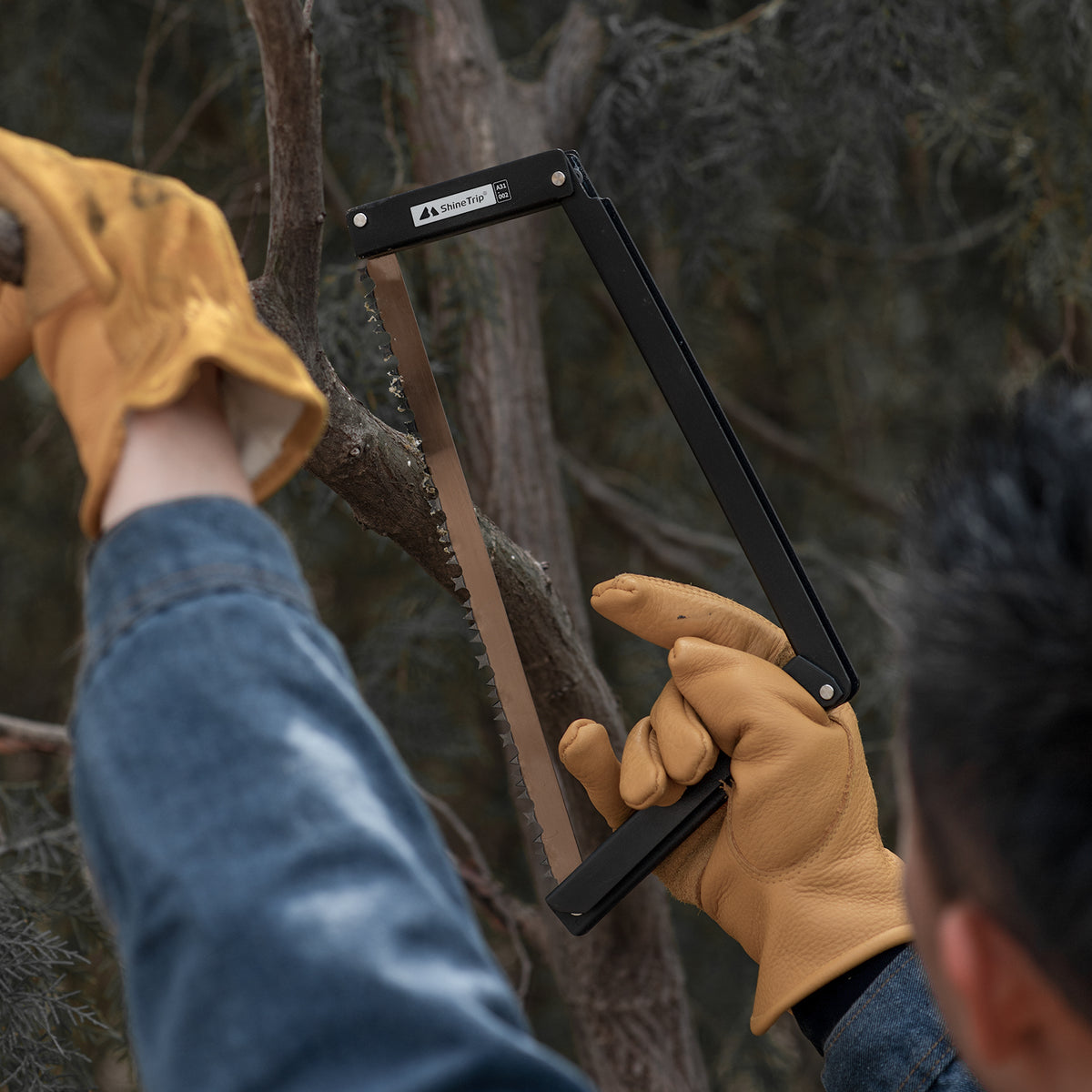 Folding Saw